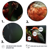 Orange Tropical Bird On Branch Nature Photography - Bird Wall Decor