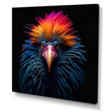 Colorful Tropical Bird Nature Photography - Bird Wall Art Prints