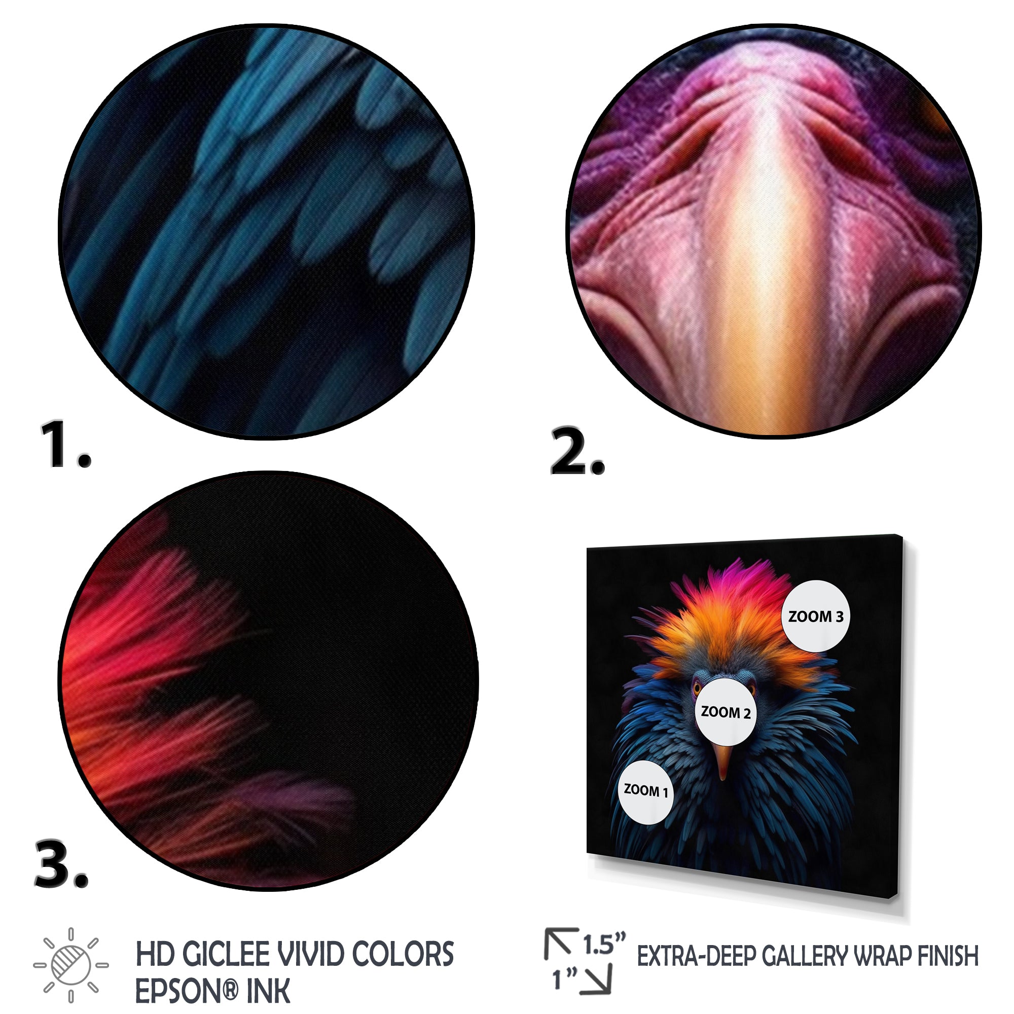 Colorful Tropical Bird Nature Photography - Bird Wall Art Prints