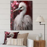 Majestic White Bird Nature Photography - Bird Living Room Wall Art