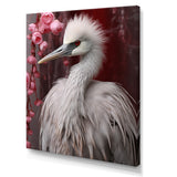Majestic White Bird Nature Photography - Bird Living Room Wall Art