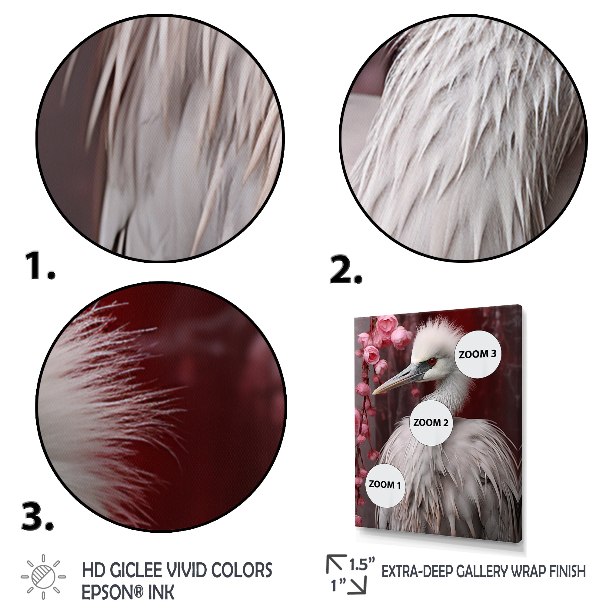 Majestic White Bird Nature Photography - Bird Living Room Wall Art