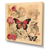 Vintage Illustration Of Romantic Pink Butterfly - Butterfly Canvas Wall Art