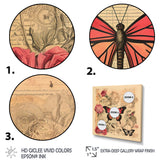 Vintage Illustration Of Romantic Pink Butterfly - Butterfly Canvas Wall Art