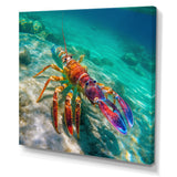 Red Lobster In Tropical Turquoise Water - Lobster Living Room Wall Art