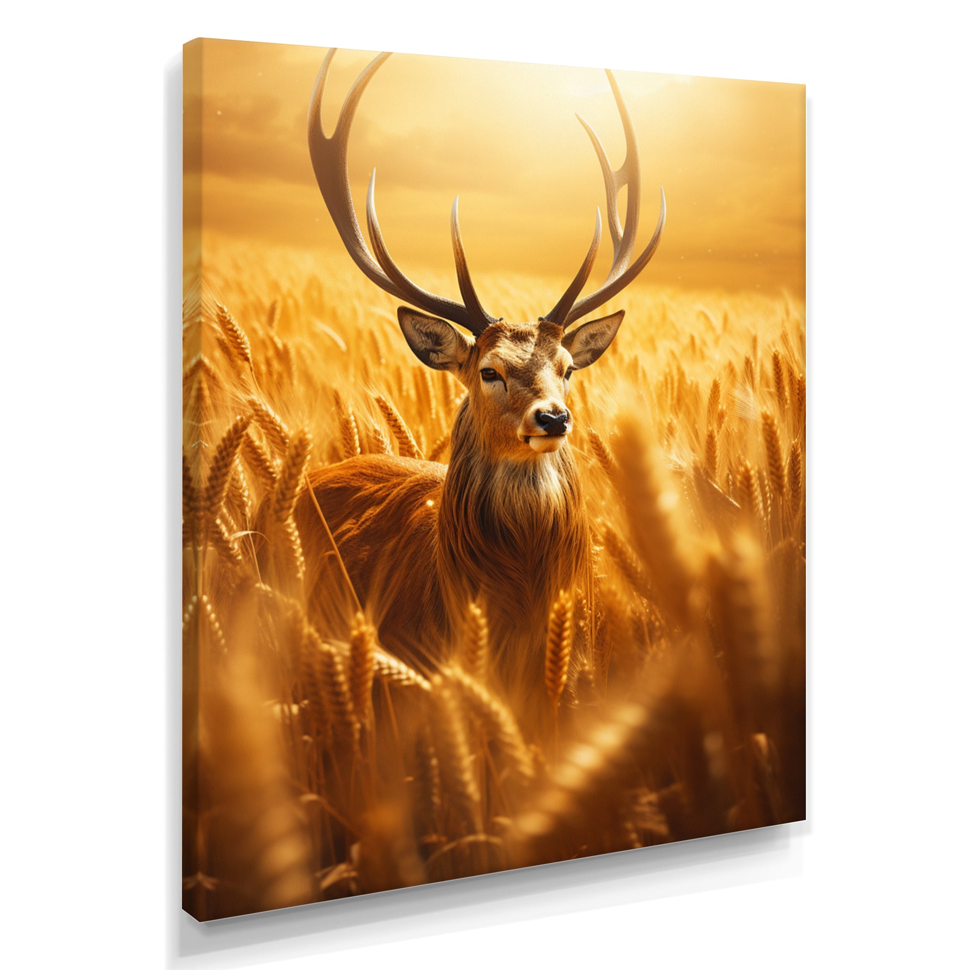 Noble Dear In Summer Wheatfields - Deer Landscape Framed Canvas Art