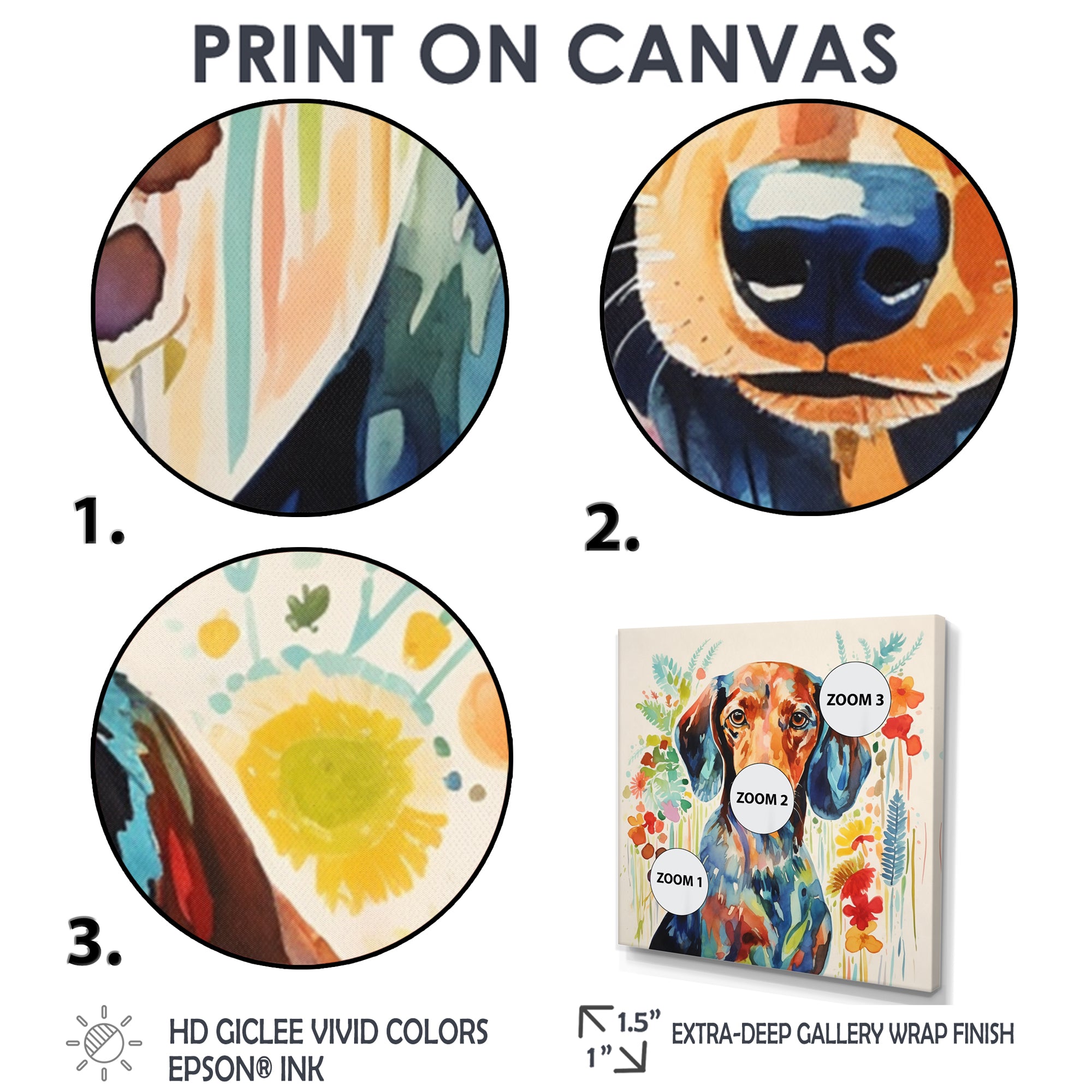 Colorful Portrait Of Endearing Dachshund - Dog Dachshund Bedroom Wall Art