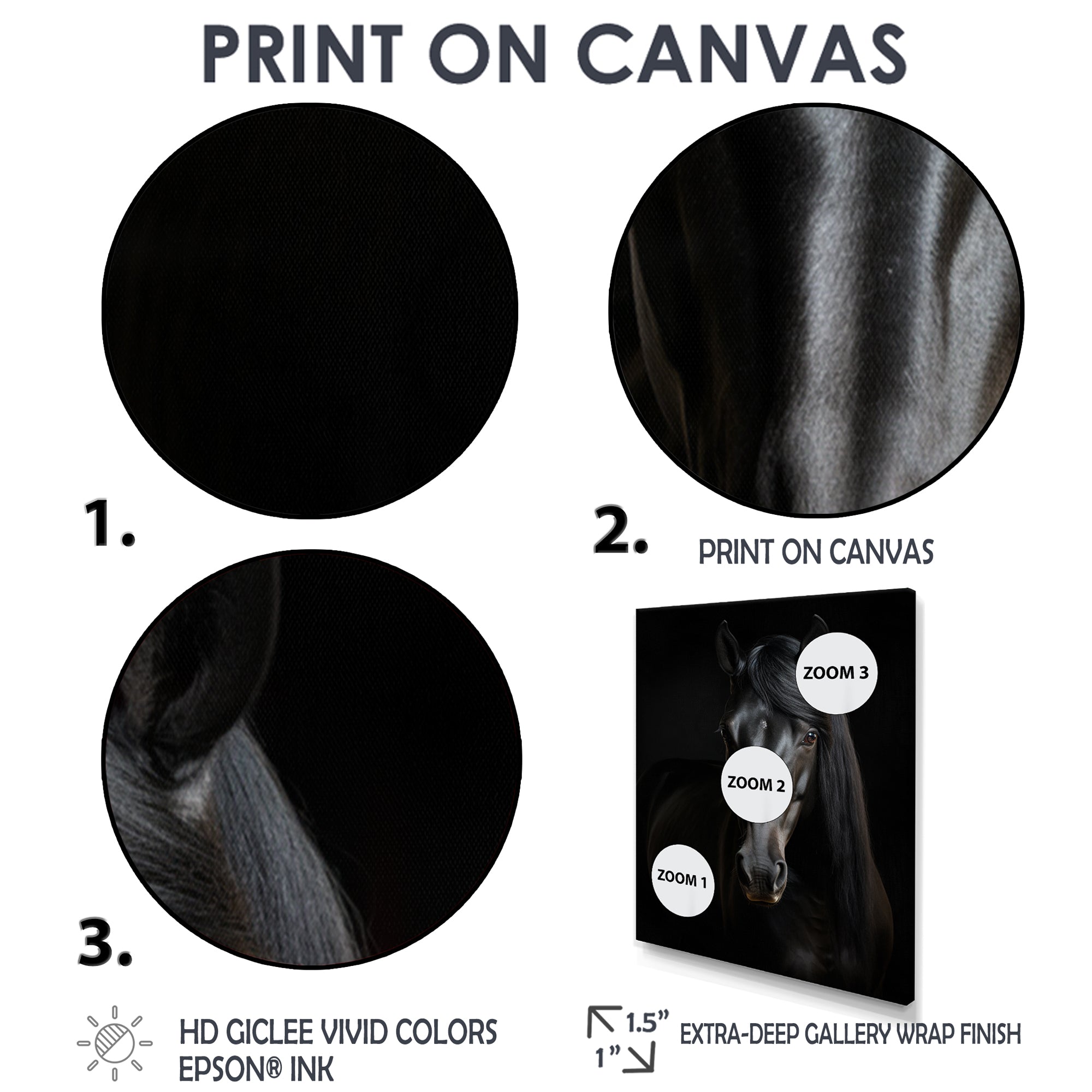 Portrait Of A Gracious Black Horse - Black Horse Wall Art