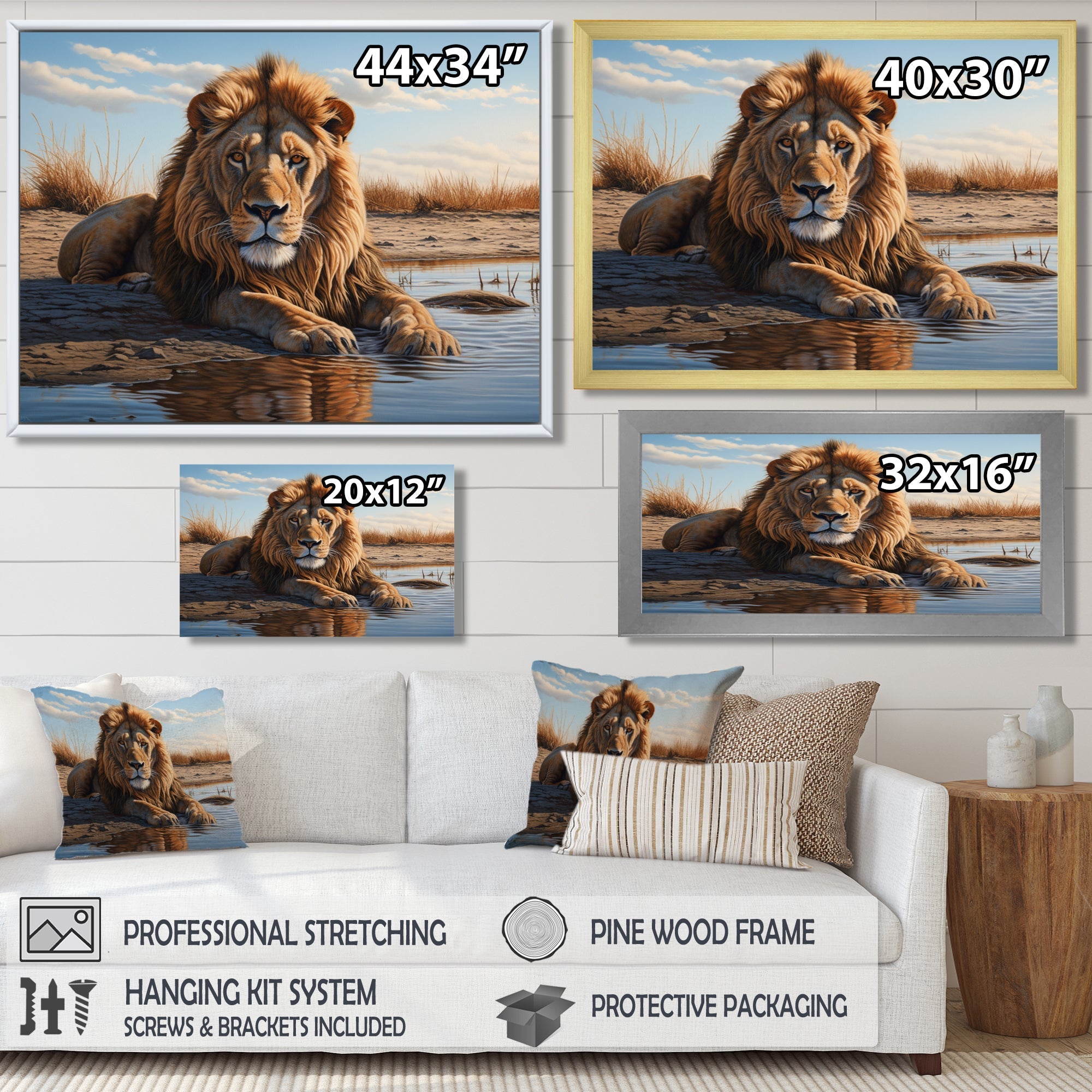 Lion Resting By The Water Pool - Lion Wall Art Prints