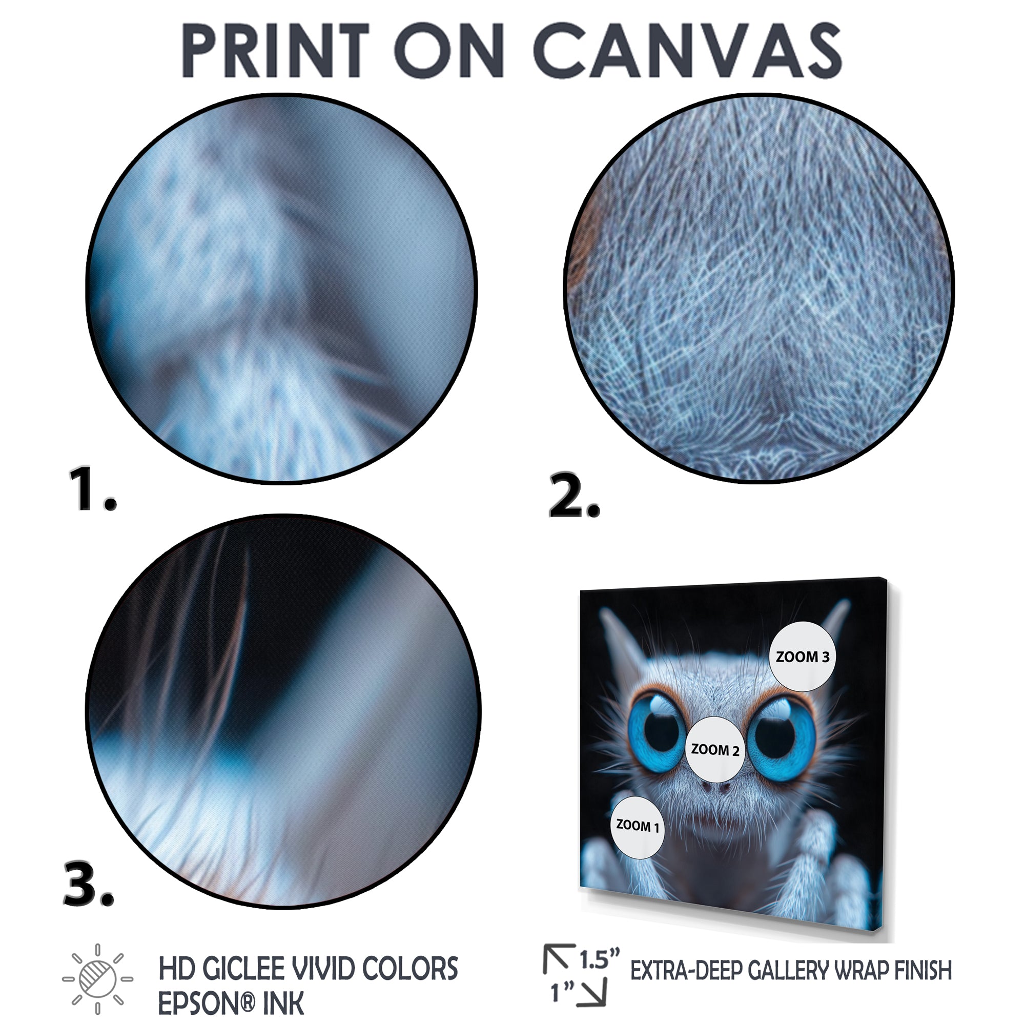 Macro Close-up Of Cute Spider Creature - Insects & Bugs Framed Canvas Art