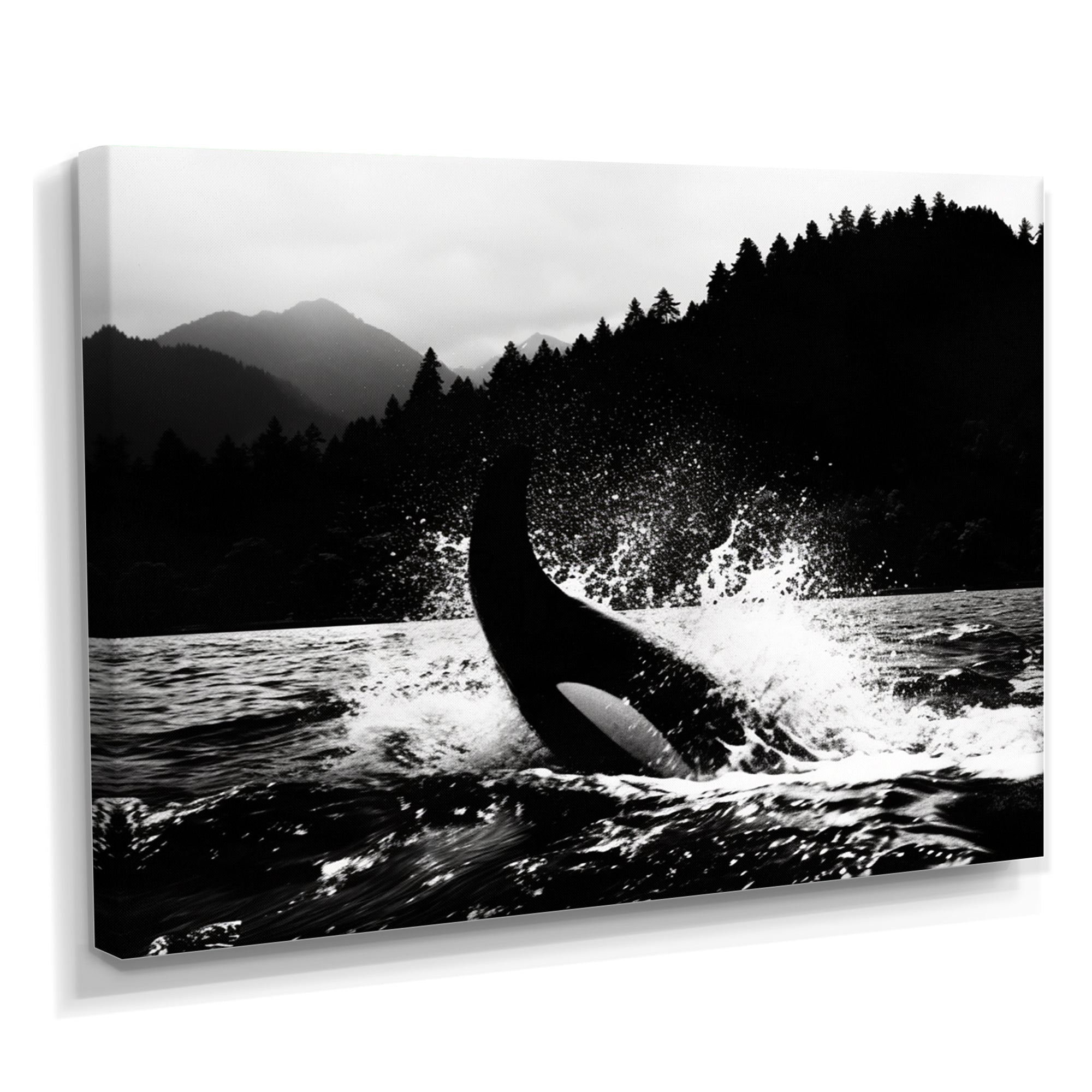 Orca Splashing In The Water Monochrome - Coastal Animal Framed Canvas Art