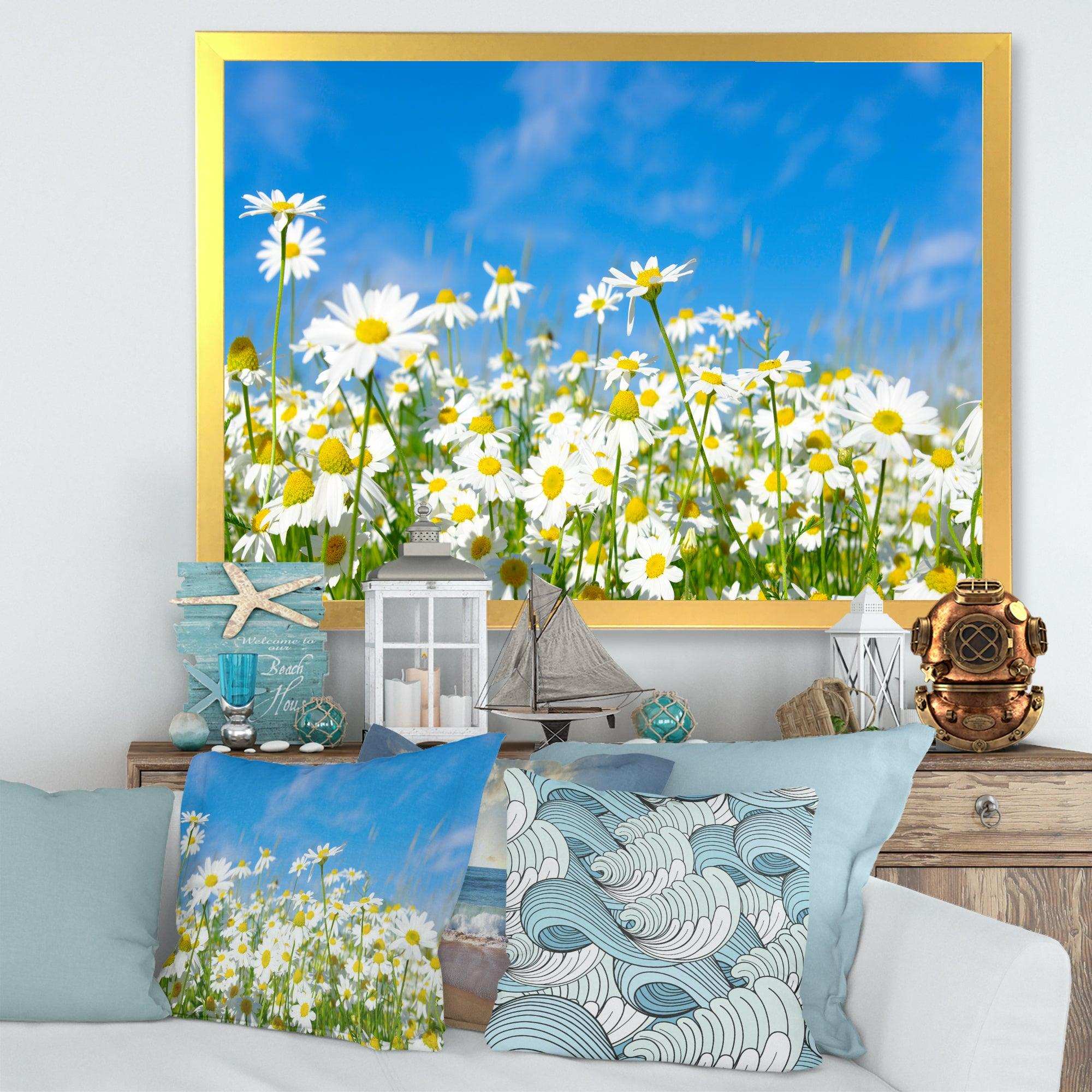 White Daisies under Bright Blue Sky