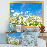White Daisies under Bright Blue Sky
