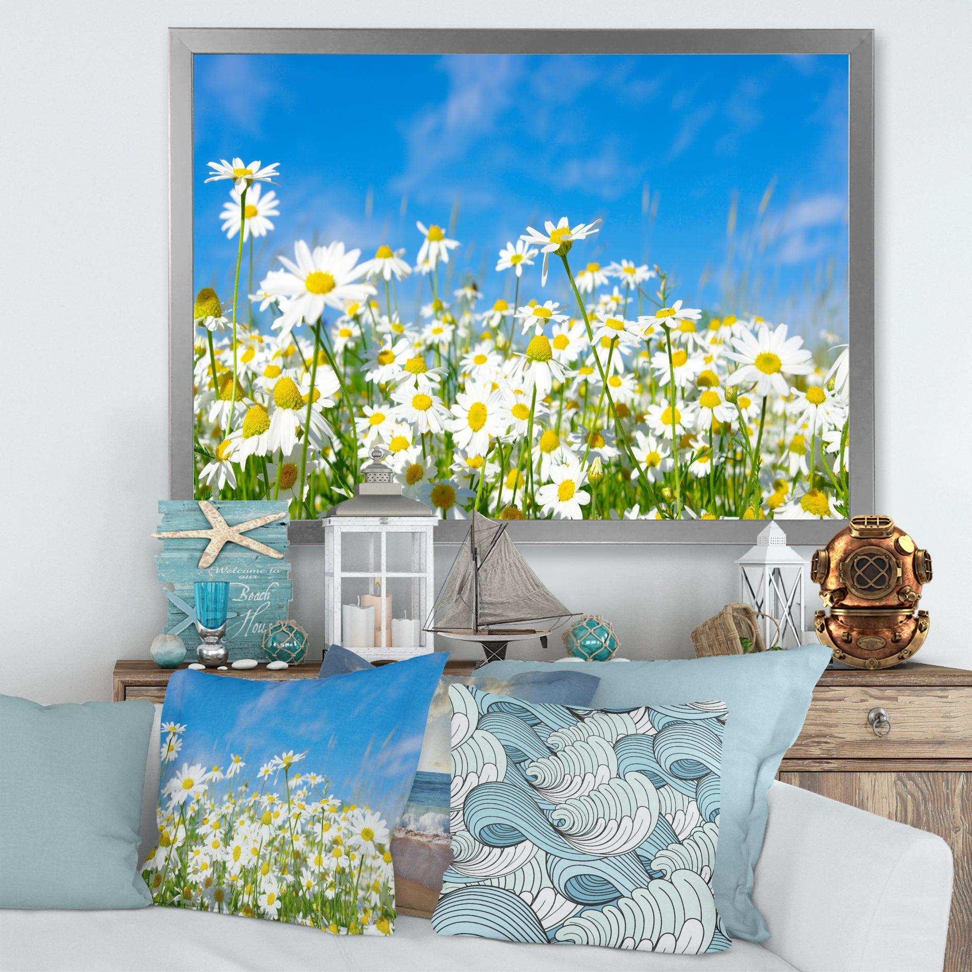 White Daisies under Bright Blue Sky