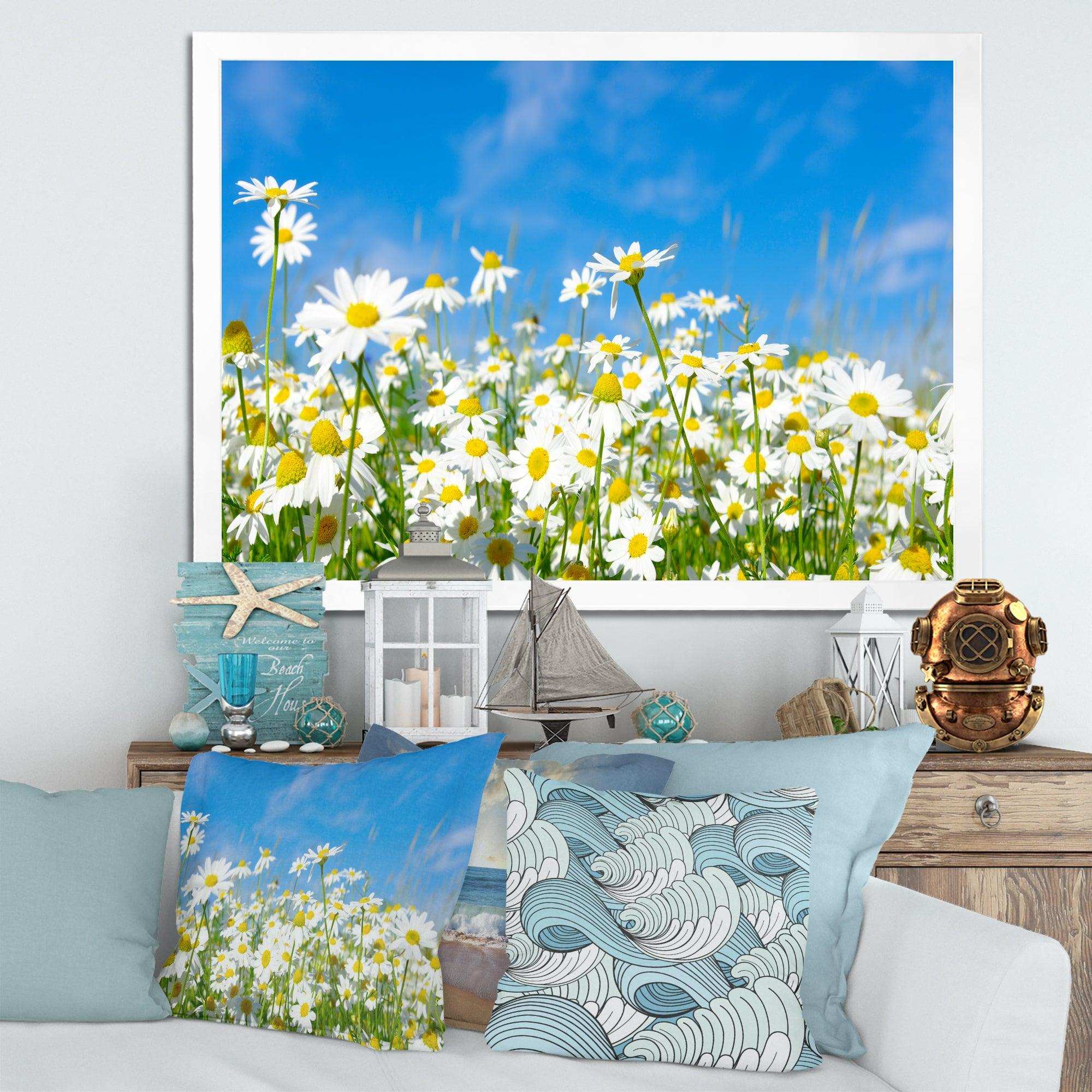 White Daisies under Bright Blue Sky