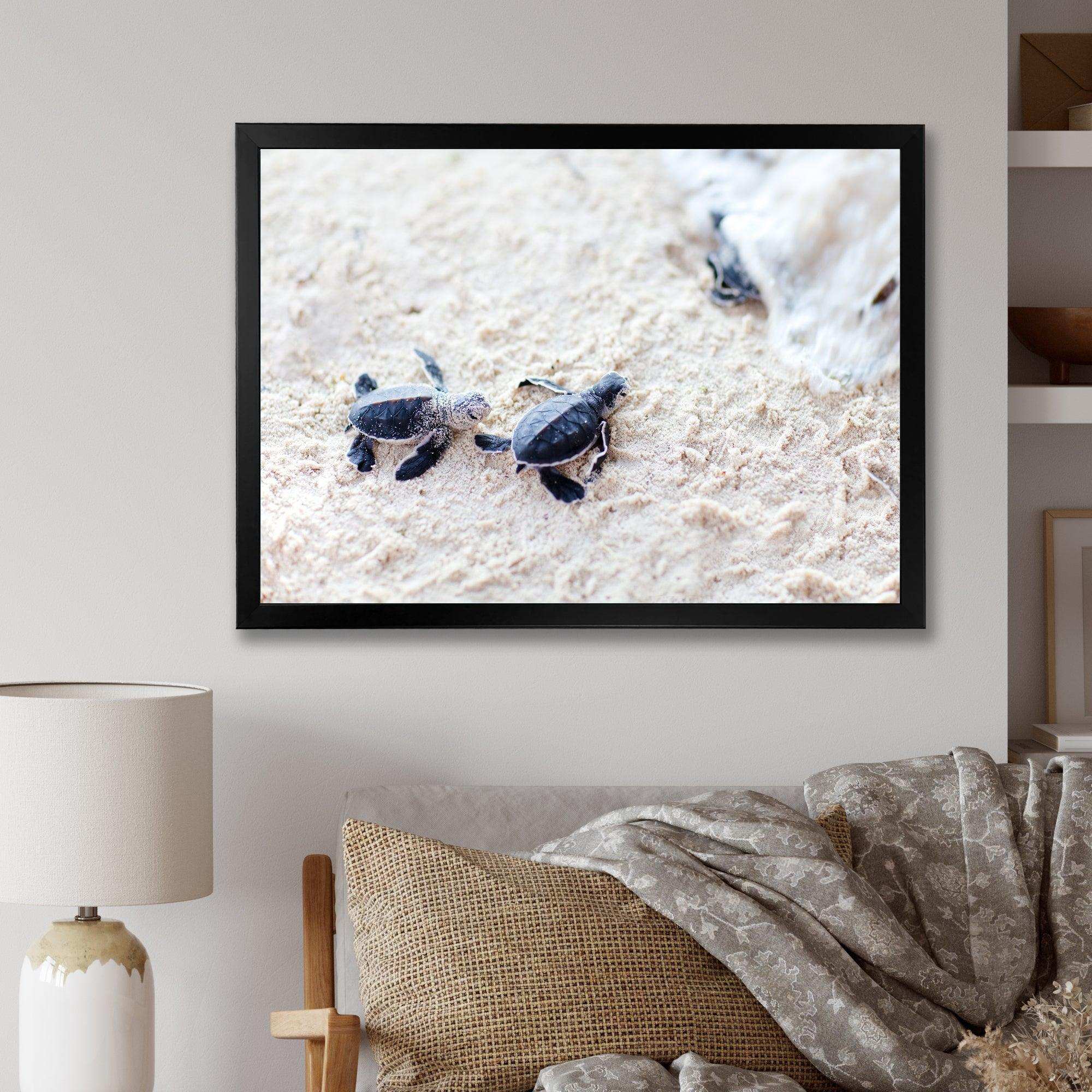 Baby Green Turtles on Sand - Animal Wall Art Print