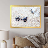 Baby Green Turtles on Sand - Animal Wall Art Print