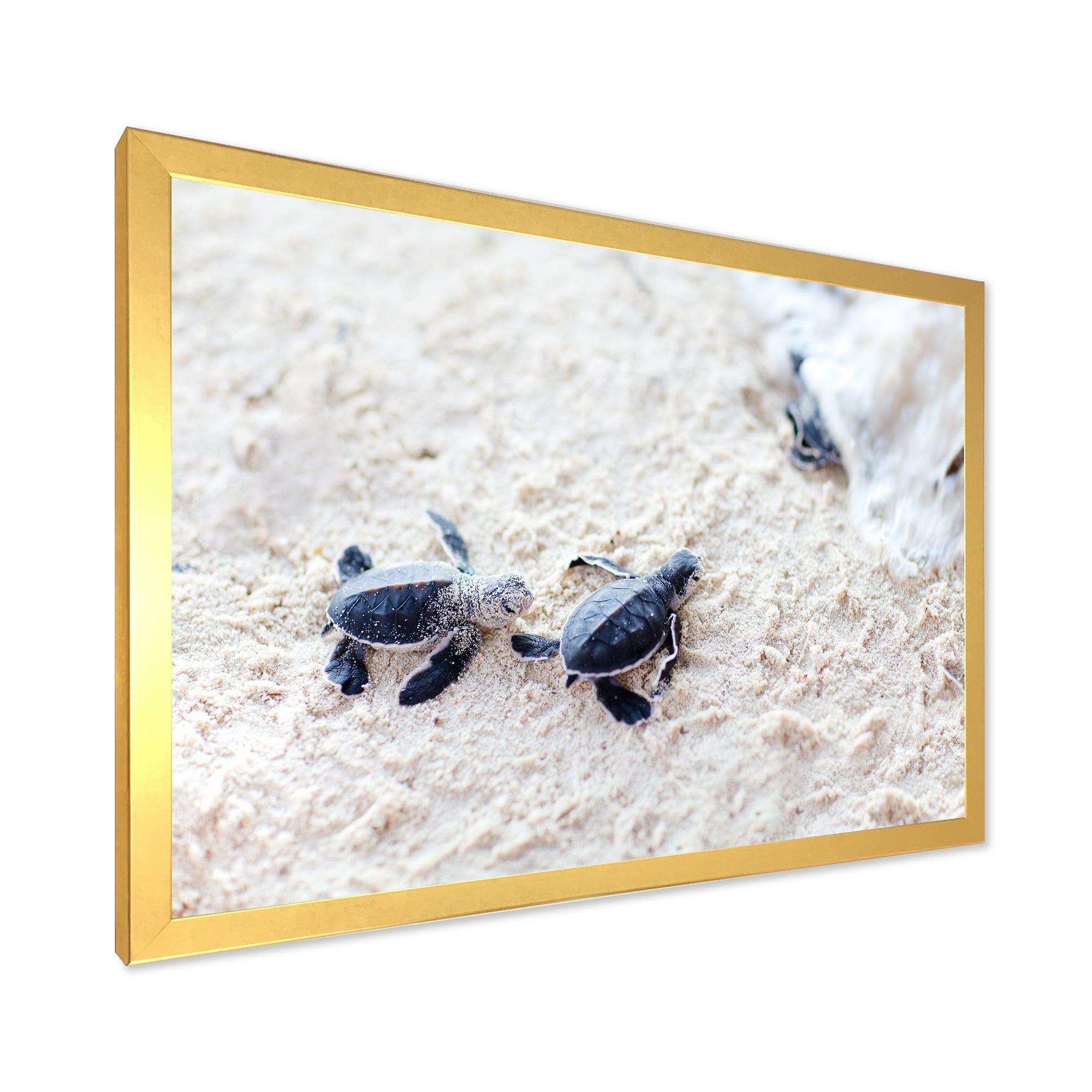 Baby Green Turtles on Sand - Animal Wall Art Print
