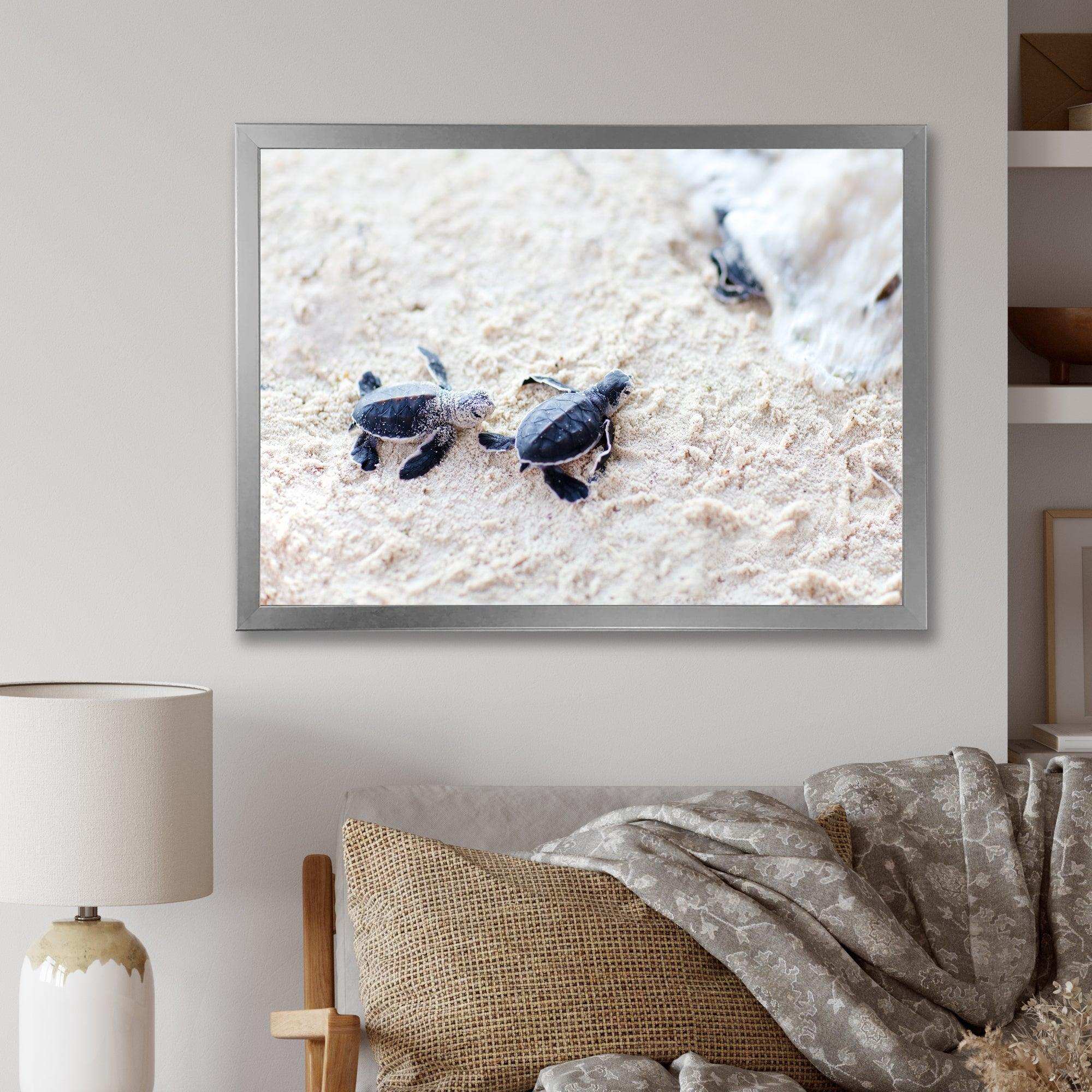 Baby Green Turtles on Sand - Animal Wall Art Print