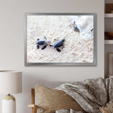 Baby Green Turtles on Sand - Animal Wall Art Print