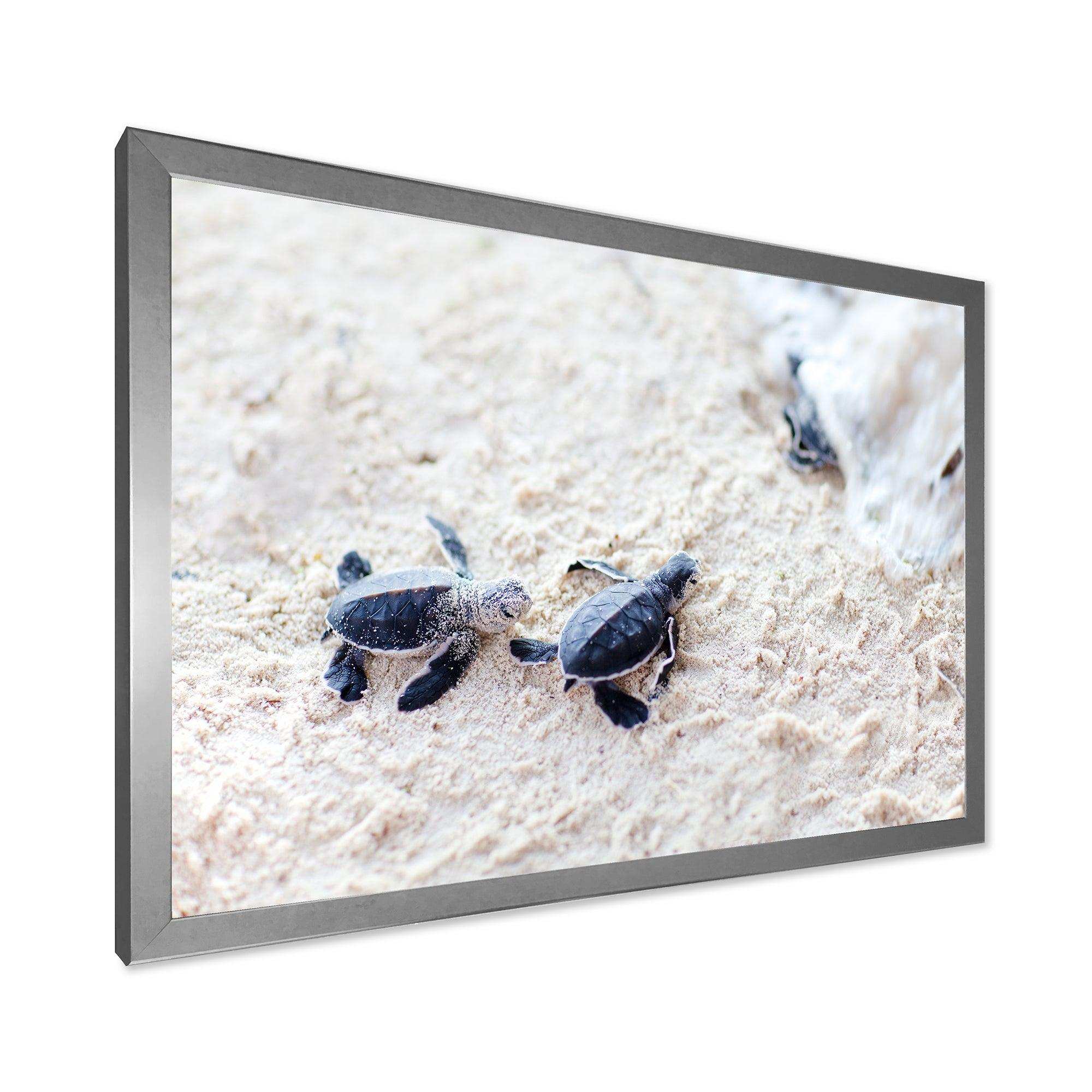 Baby Green Turtles on Sand - Animal Wall Art Print