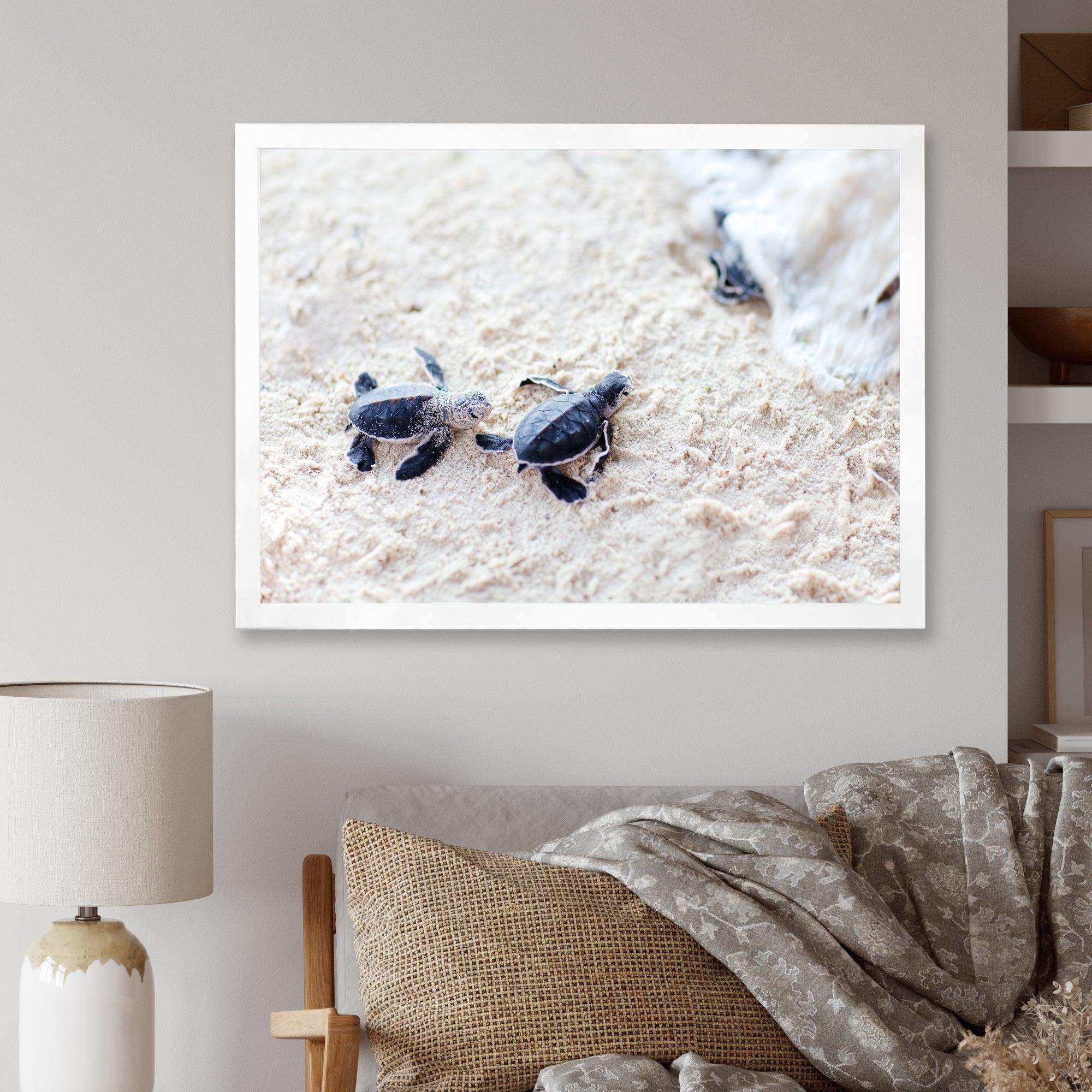 Baby Green Turtles on Sand - Animal Wall Art Print