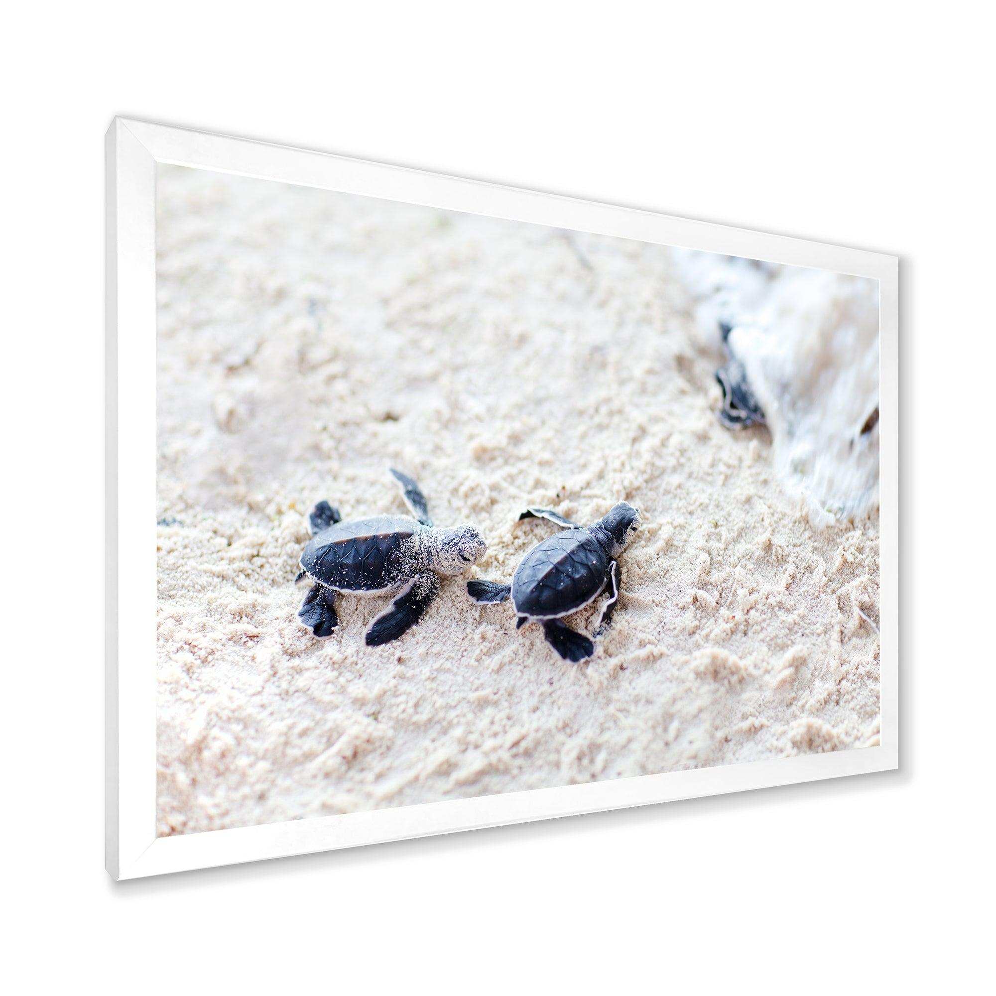 Baby Green Turtles on Sand - Animal Wall Art Print