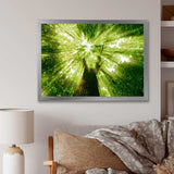 Sunlight Peeking through Green Tree