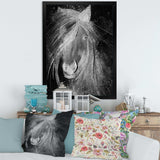Farmhouse Horse VI - Canvas Wall Art
