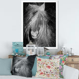 Farmhouse Horse VI - Canvas Wall Art