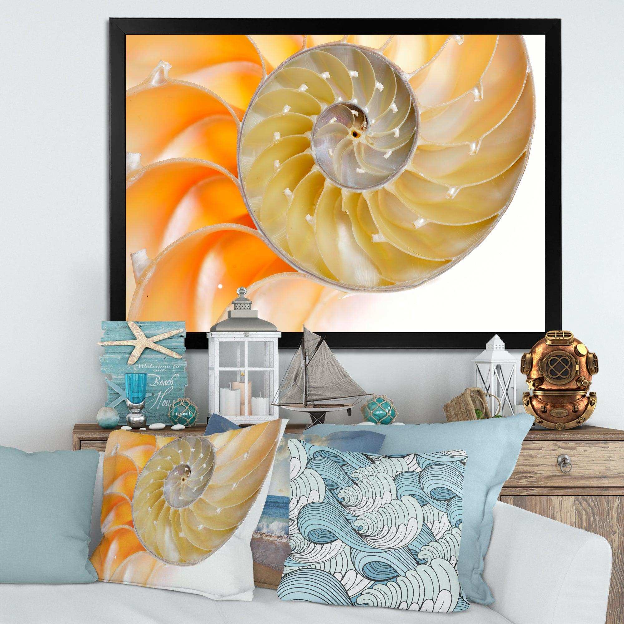 Isolated Nautilus Shell - Nautical & Coastal Bedroom Wall Art