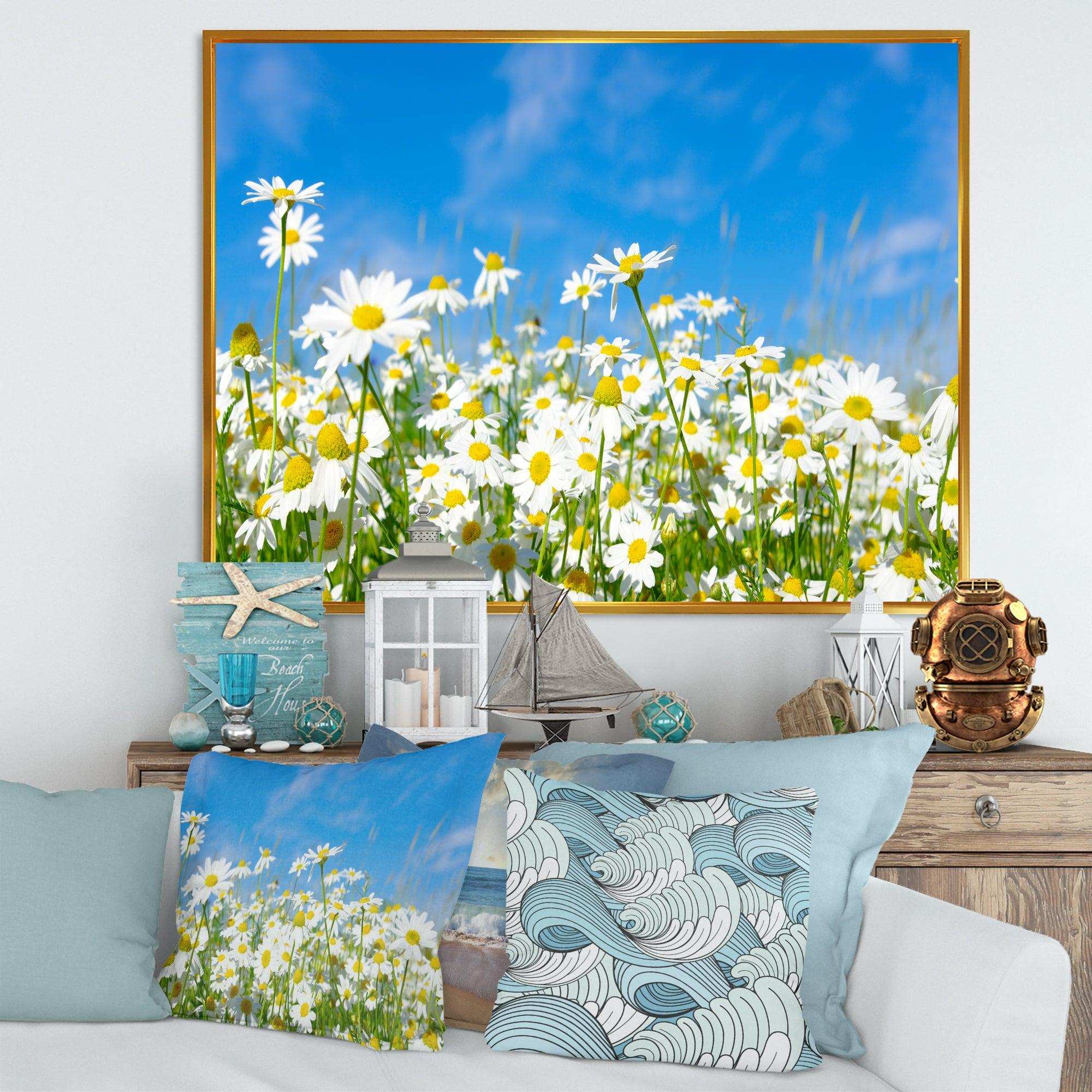 White Daisies under Bright Blue Sky