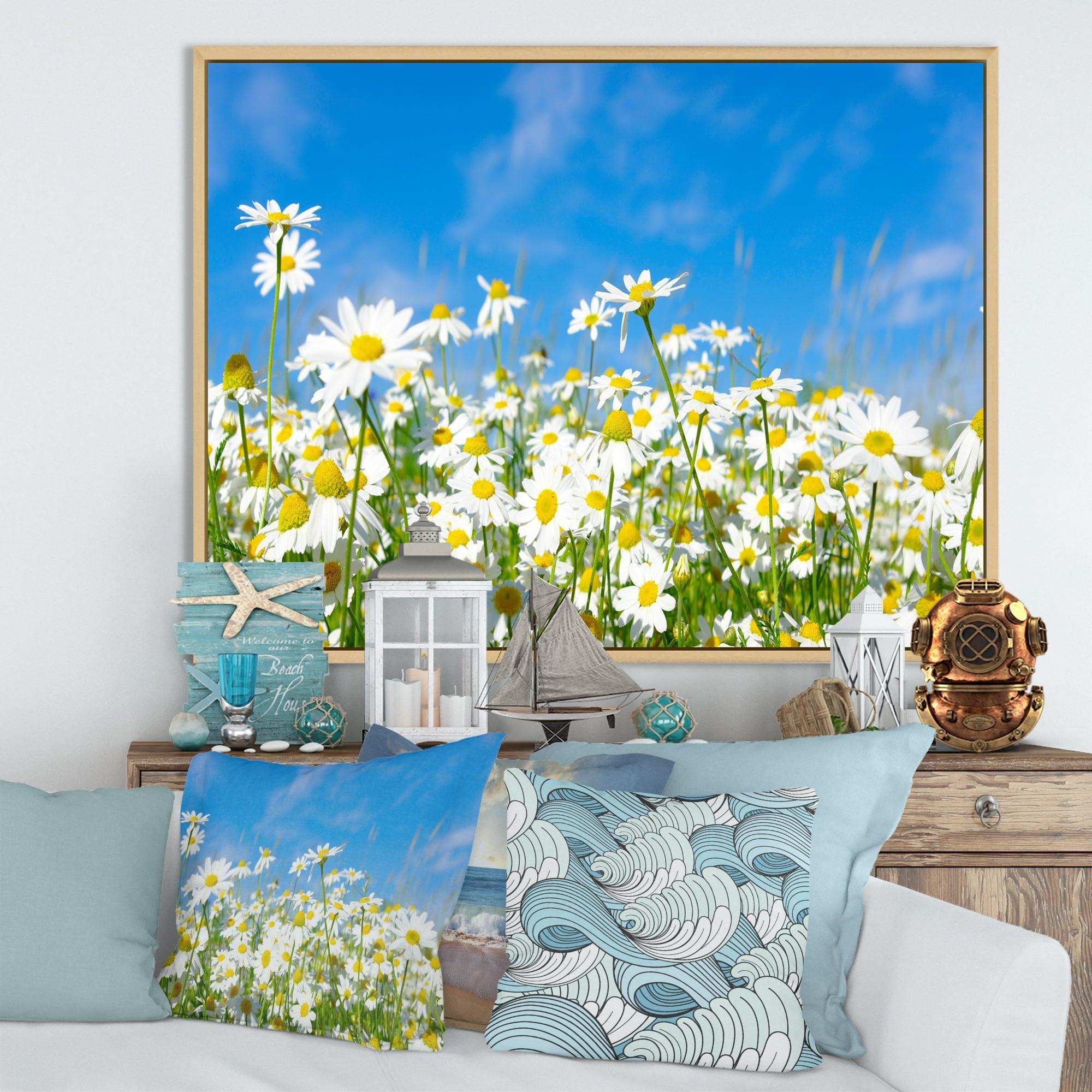 White Daisies under Bright Blue Sky