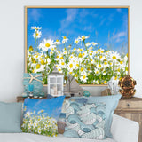 White Daisies under Bright Blue Sky
