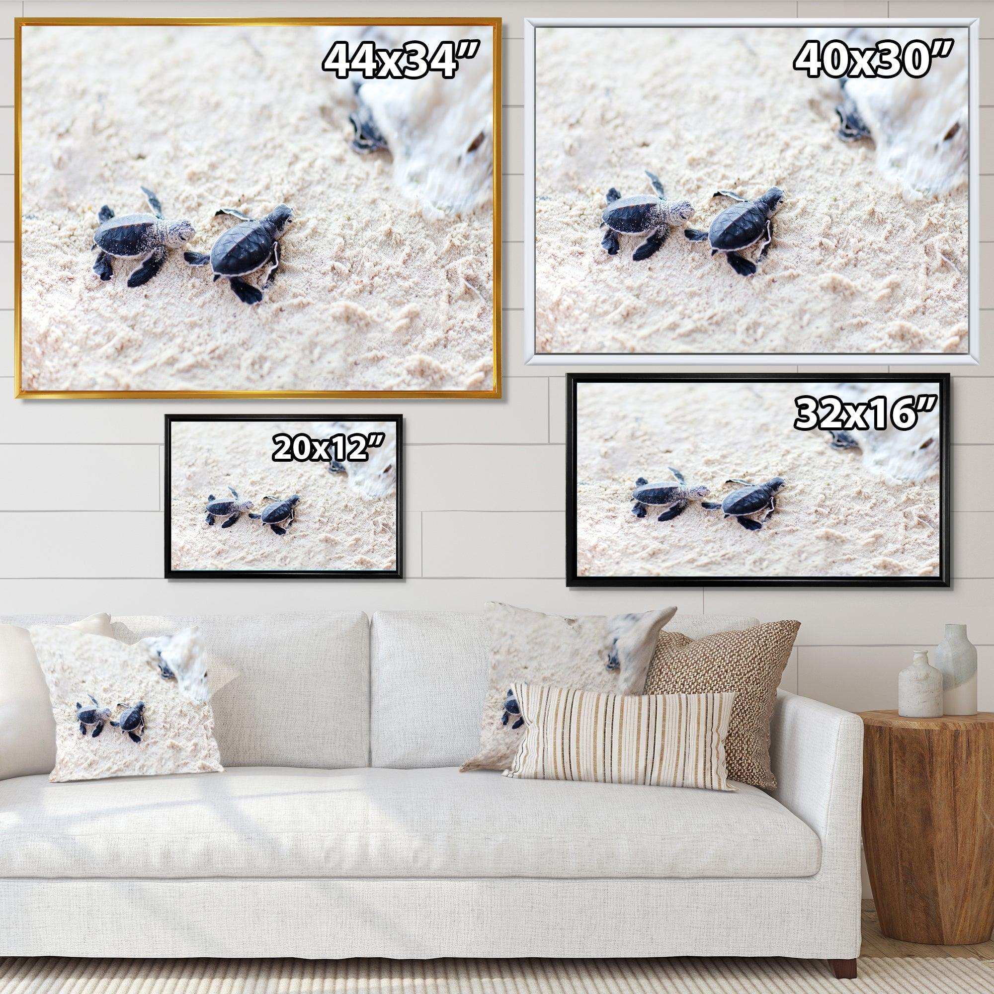 Baby Green Turtles on Sand - Animal Wall Art Print