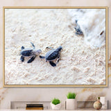 Baby Green Turtles on Sand - Animal Wall Art Print