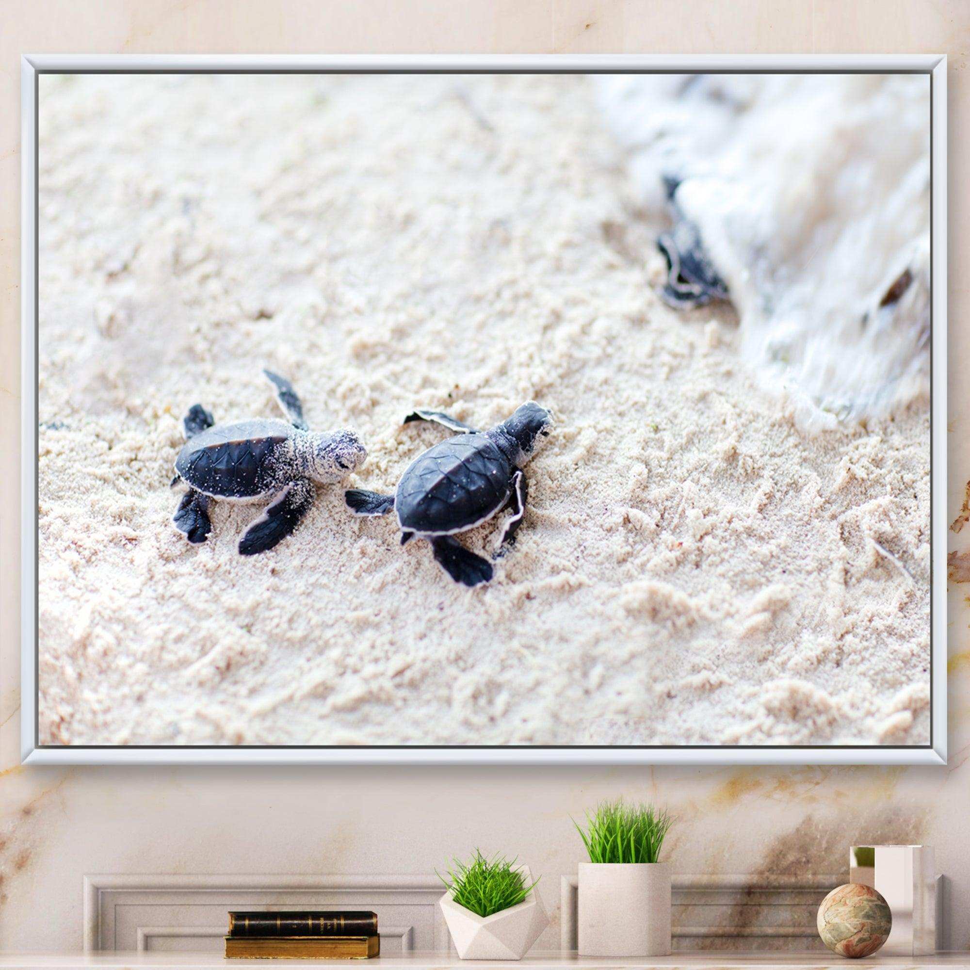 Baby Green Turtles on Sand - Animal Wall Art Print