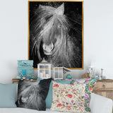 Farmhouse Horse VI - Canvas Wall Art