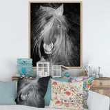 Farmhouse Horse VI - Canvas Wall Art