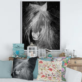 Farmhouse Horse VI - Canvas Wall Art