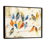 Multicolor Bird Meeting