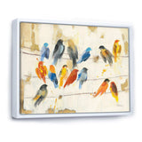 Multicolor Bird Meeting