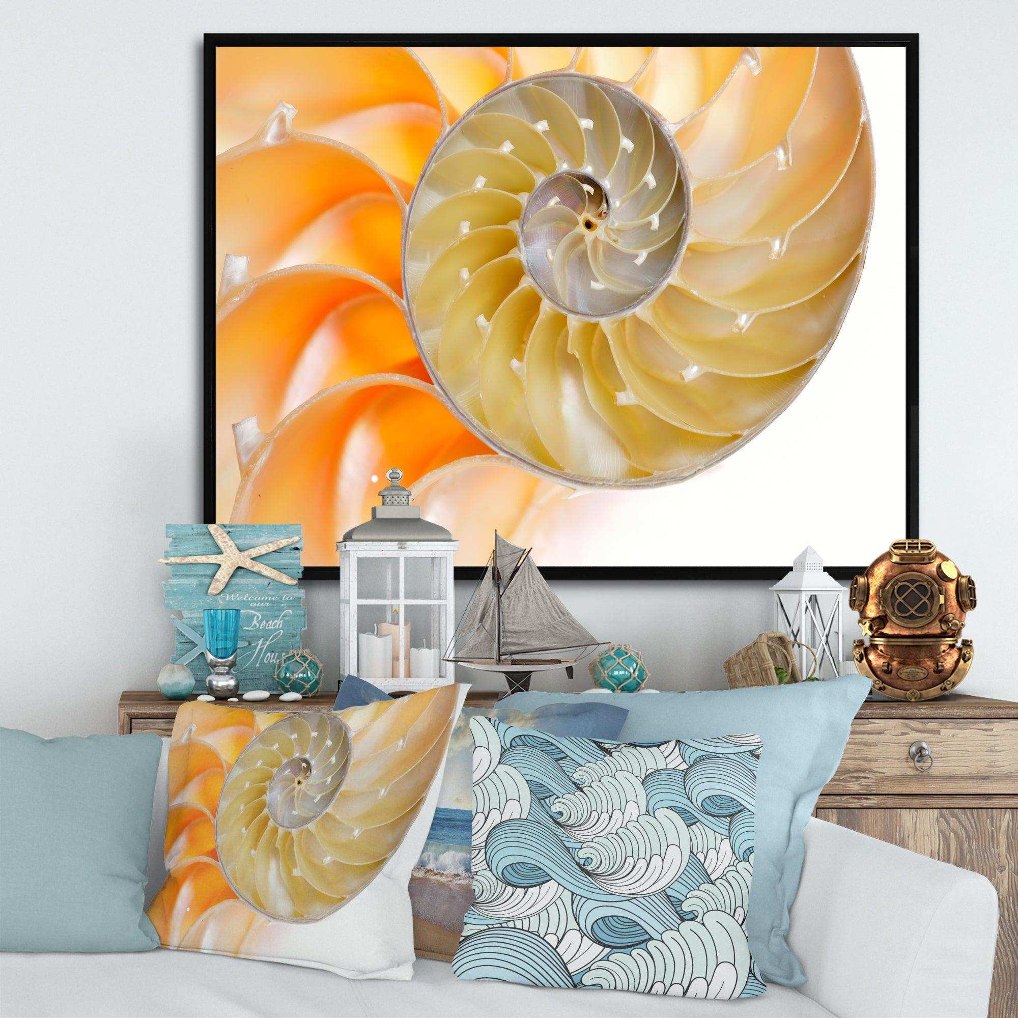 Isolated Nautilus Shell - Nautical & Coastal Bedroom Wall Art