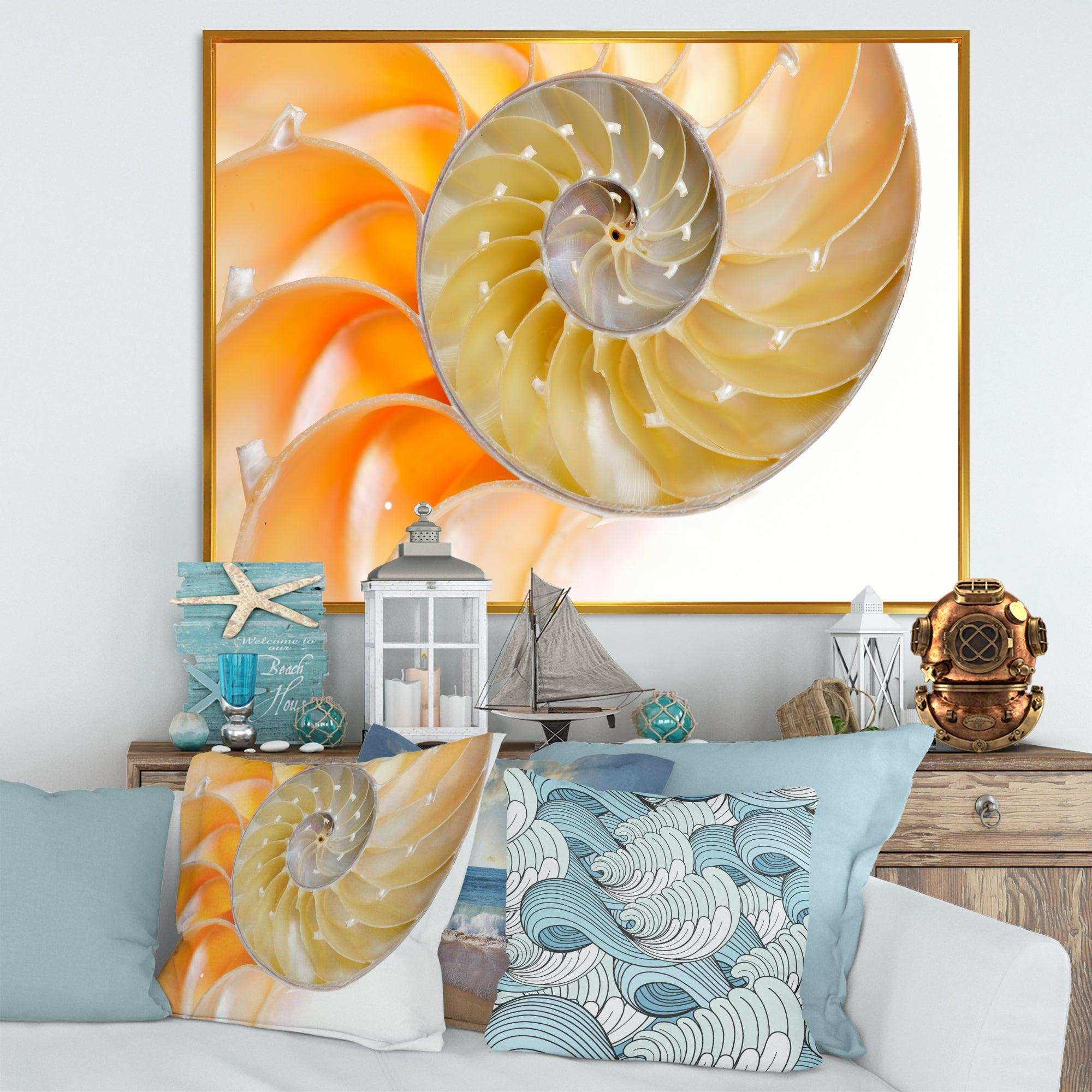 Isolated Nautilus Shell - Nautical & Coastal Bedroom Wall Art