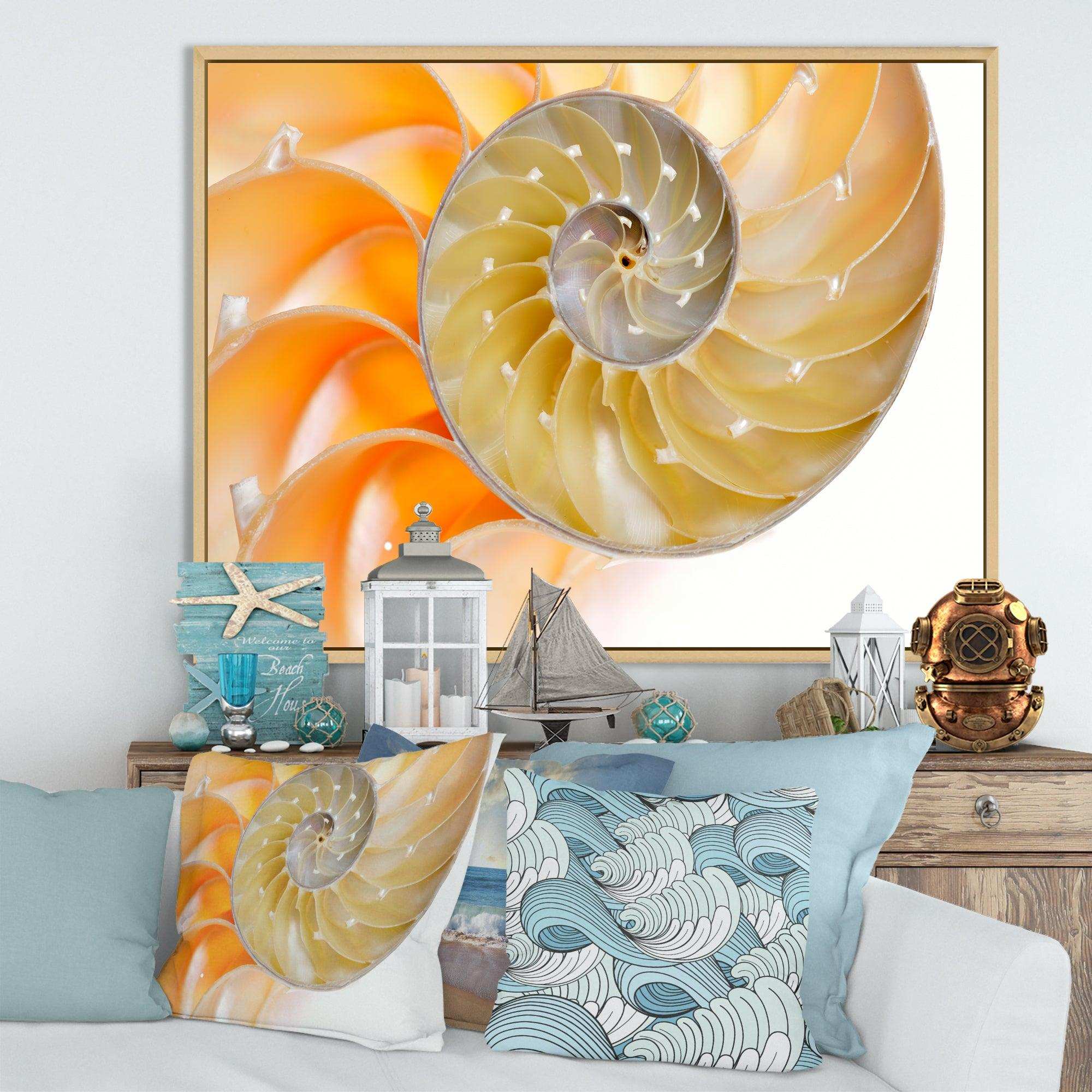 Isolated Nautilus Shell - Nautical & Coastal Bedroom Wall Art