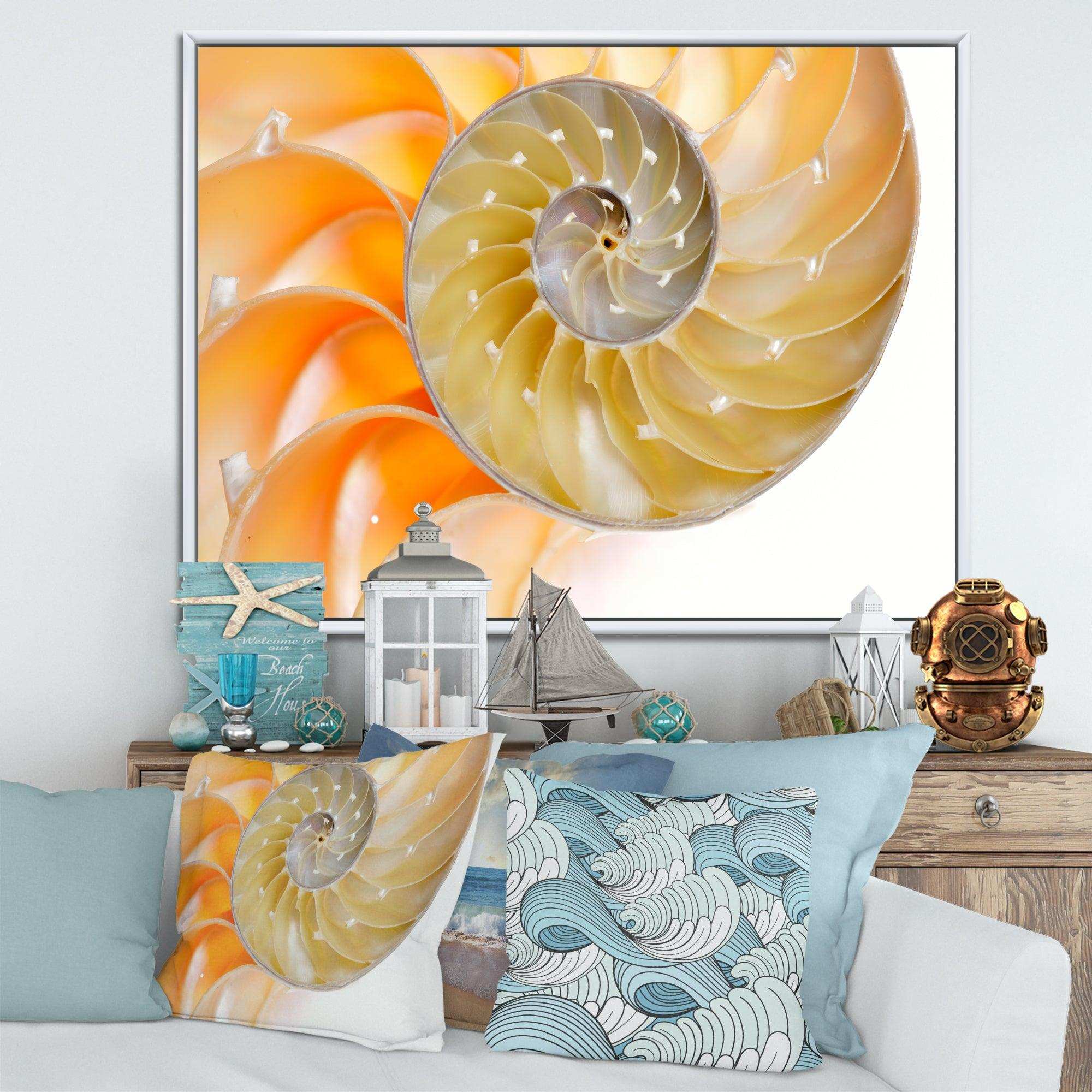Isolated Nautilus Shell - Nautical & Coastal Bedroom Wall Art