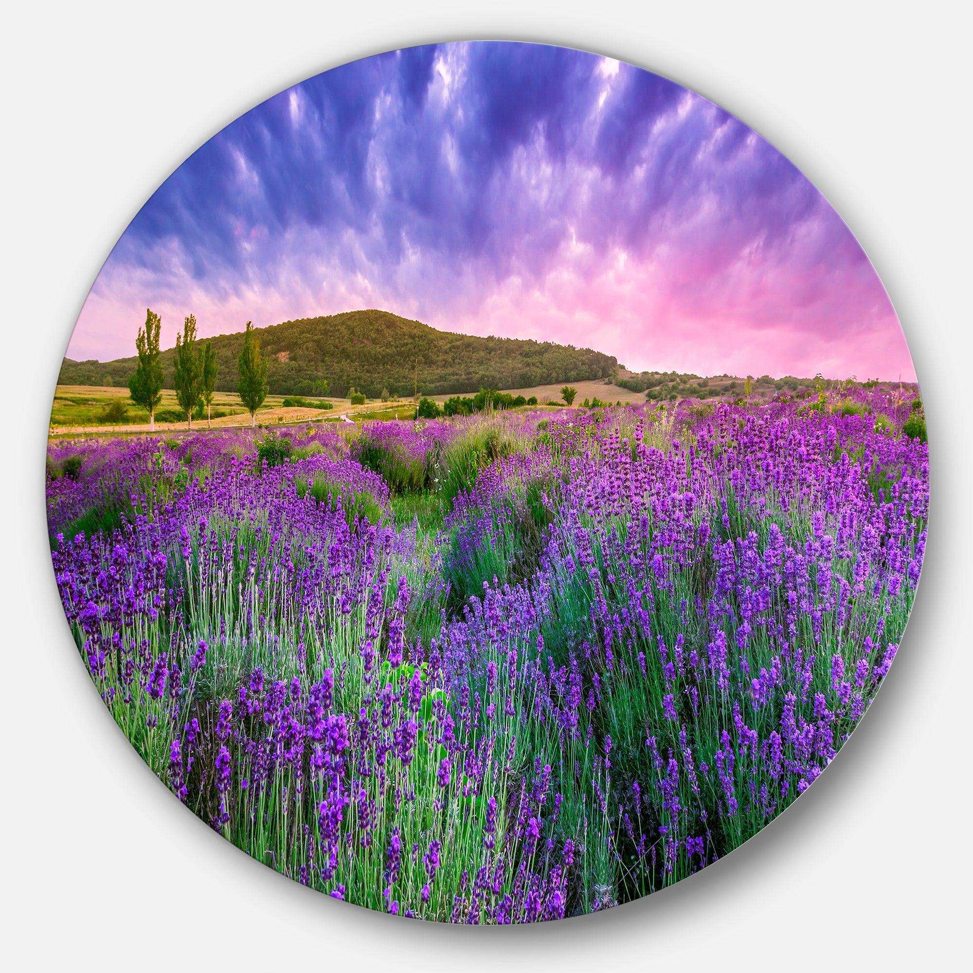 Summer Lavender Field in Tihany - Landscape Metal Circle Wall Art