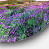 Summer Lavender Field in Tihany - Landscape Metal Circle Wall Art