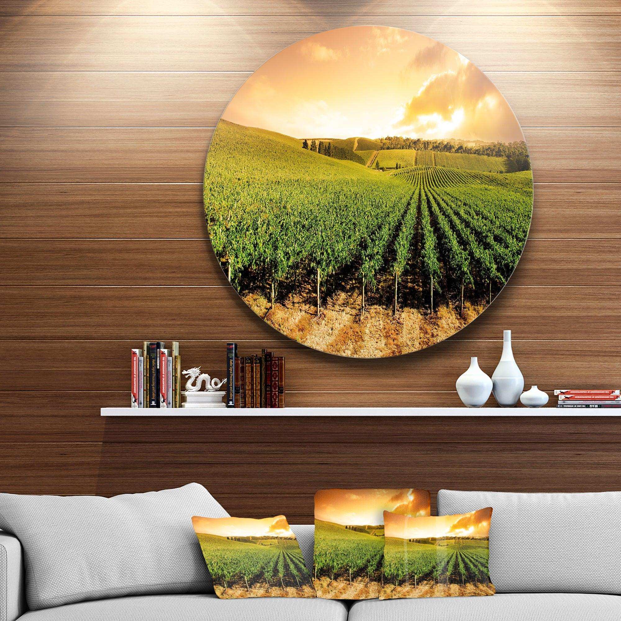 Sunset Vineyard Panorama - Landscape Circle Metal Wall Decor