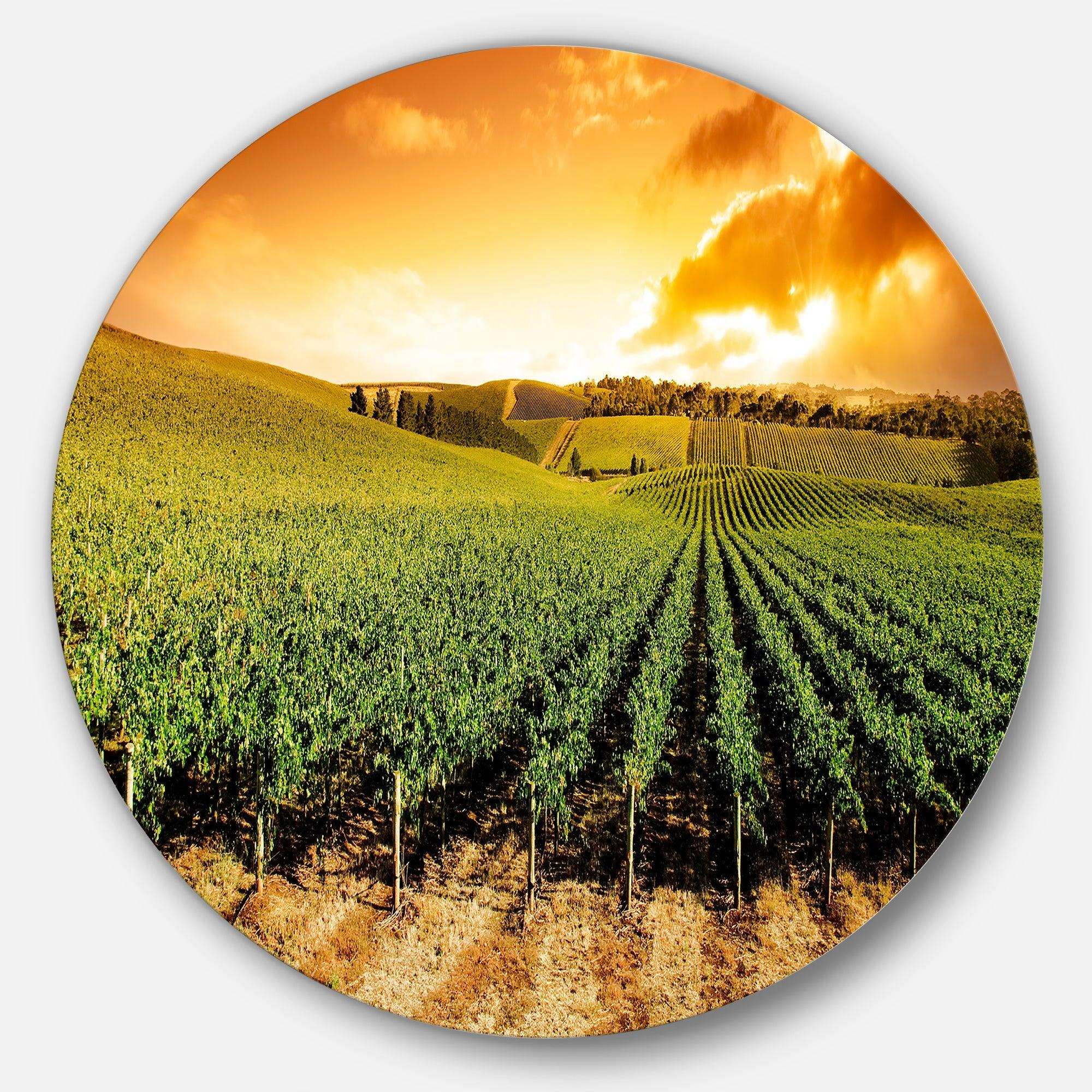 Sunset Vineyard Panorama - Landscape Circle Metal Wall Decor